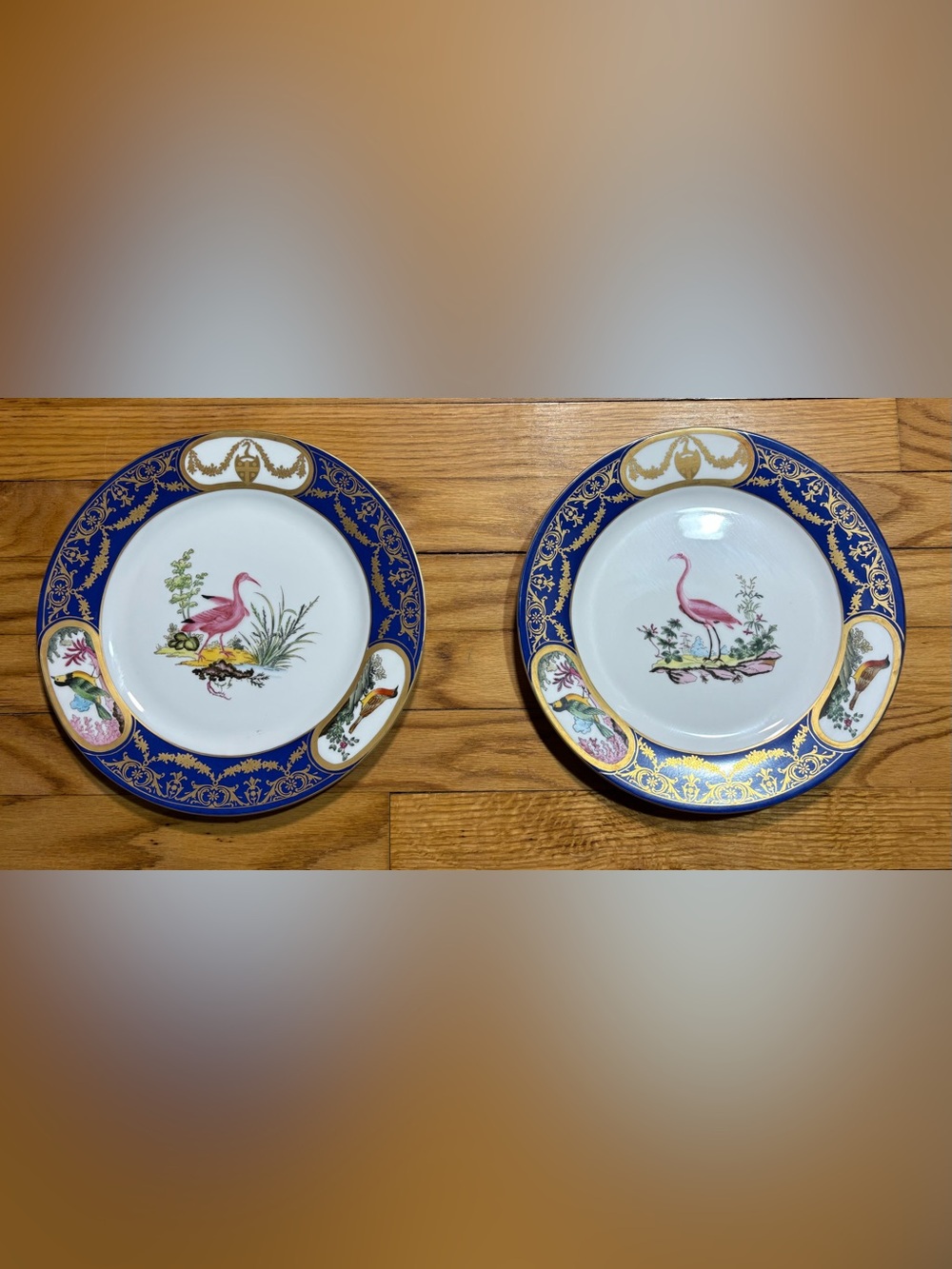Chelsea House blue Gold Trim Bird  Porcelain Plate lot of 2 used!